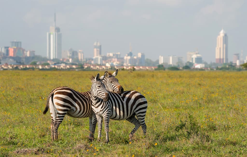 Nairobi National Park