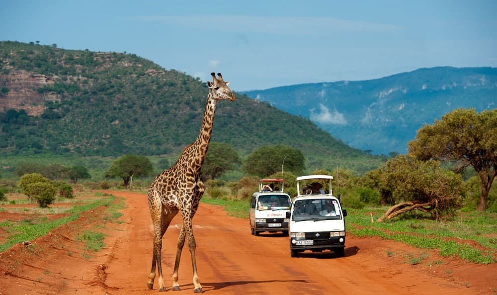 Tsavo East National Park